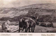 Edith Elliott - cottage